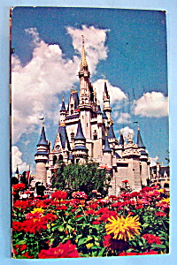 Cinderella's Castle Postcard