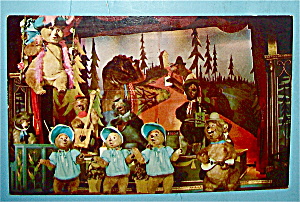 Country Bear Jamboree (Disney World) Postcard