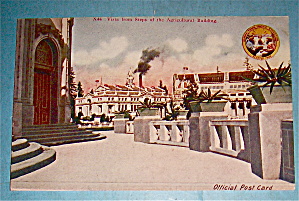 Vista From Steps Of The Agricultural Building Postcard