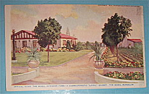 The Model Bungalow Postcard