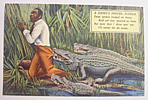 Alligator Biting At Black Man Pants Postcard