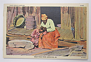 Aunt Venus Hunting Postcard