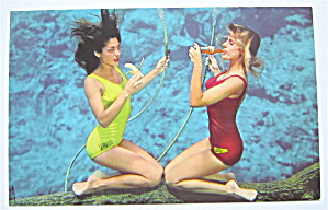 Two Weeki Wachee Mermaids Postcard