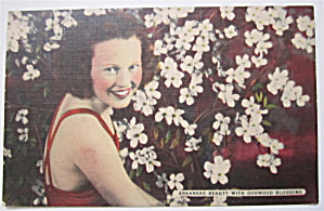 Arkansas Beauty With Dogwood Blossoms Postcard