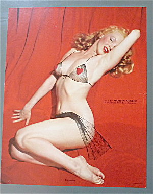 Marilyn Monroe Pin Up 1950's Entrancing