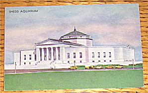 Shedd Aquarium Postcard (Century Of Progress)