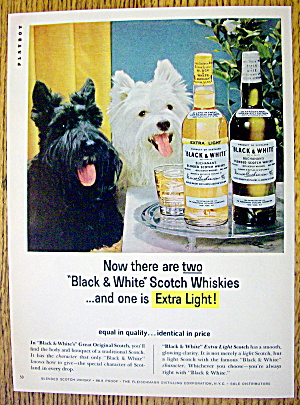 1965 Black And White Whiskey W/ Black & White Scotties