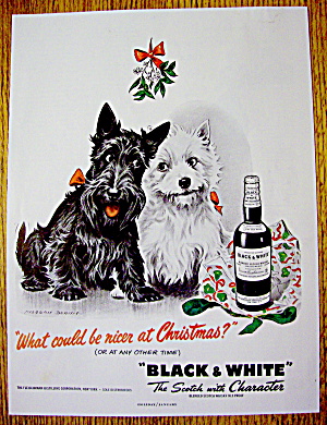 1950 Black & White Scotch With Two Scotty Dogs