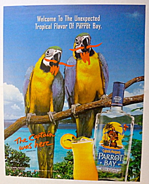 2001 Captain Morgan's Parrot Bay W/two Parrots