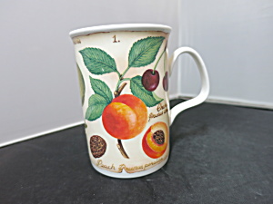 Roy Kirkham Parchment Fruit Cup Mug England 10 Fl.oz.