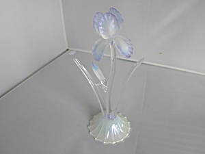 Iris Flower Figurine Blown Glass Frosted Iridescent