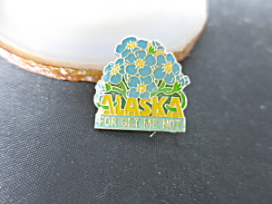 Vintage Alaska Enamel Pin Button Floral