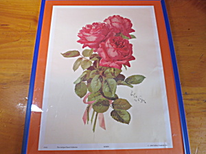 Roses Paul De Songpre Antique Classic Collection 1989 Gallery Gra
