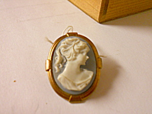 Cameo Pin Light Blue Or Gray Background Gold