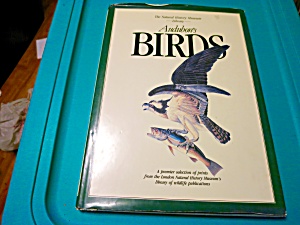 Audubons Birds Book With Dust Jacket 1991