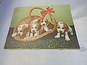 Puppies In A Basket Lithograph Print Ideal 1950
