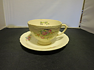 Homer Laughlin Cup And Saucer C46n8
