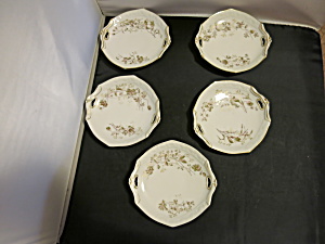 Limoges Depose Plates Set Of 5 France