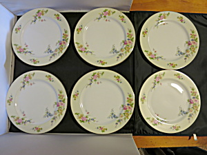 Meito China Floral Plate 10 Inch Made In Japan Set