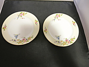Meito China Floral Plate 8 Inch Made In Japan Set Of 2