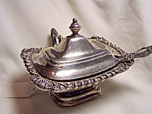Crown Silver Plated Covered Condiment Spoon