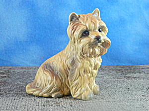 Japan Ceramic Yorkshire Terrier Dog
