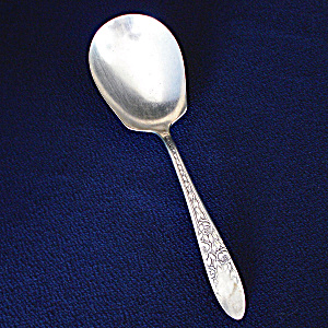 Rose And Leaf National Silverplate Casserole Spoon