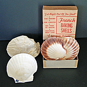 Box 10 Mid Century French Baking Scallop Shells