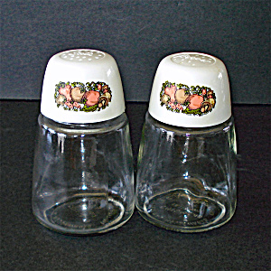 Spice Of Life Corning Go-with Glass Salt Pepper Range Shakers