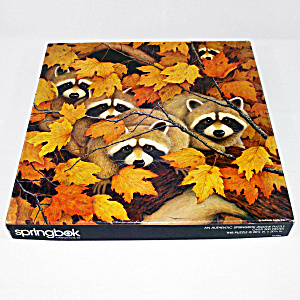 Roving Rascals 1979 Springbok Jigsaw Puzzle Raccoons