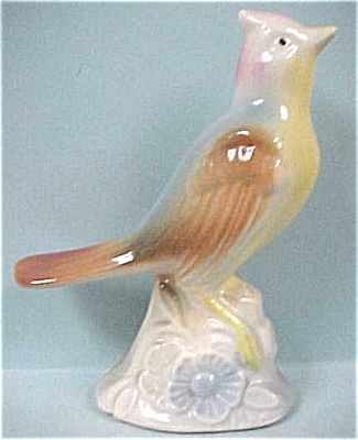 1940s/1950s Pottery Jay Type Bird