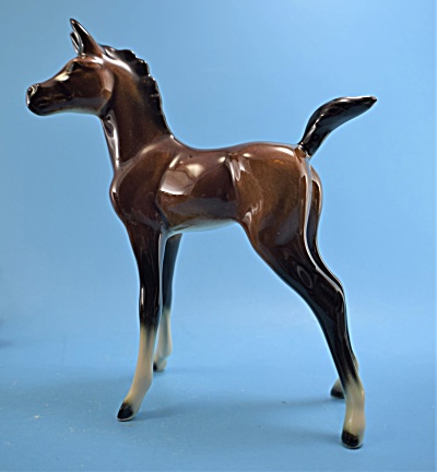 Goebel Arabian Foal