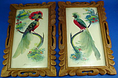 Vintage Feather Art Bird Picture Pair