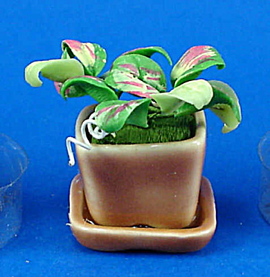 Dollhouse Miniature House Plant