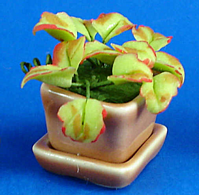Dollhouse Miniature House Plant