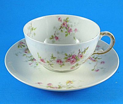Theodore Haviland Limoges Floral Cup And Saucer