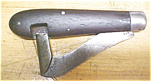 New York Knife Folding Timber Scribe Race Knife