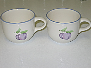 Pfaltzgraff Hopscotch 2 Cups With Plums