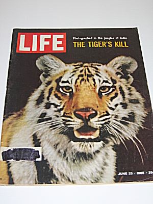 Life Magazine June 25 1965 The Tiger's Kill & Gemini 4