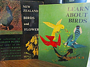 Learn About Birds & New Zealand Birds & Flowers