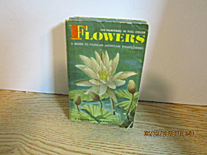 Goldennature Guide Flowers Familiar Americanwildflowers