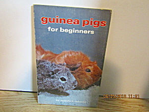 Guinea Pigs For Beginners