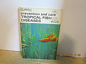 Prevention & Care Tropical Fish Diseases