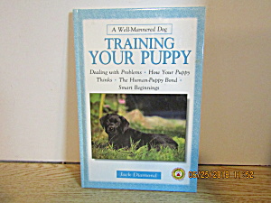 A Well Mannered Dog Training Your Puppy