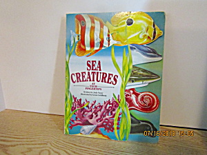 Children's Board Book Sea Creatures At Your Fingertips