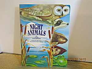 Children's Board Book Night Animals At Your Fingertips