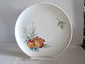 Vintage Carefree Syrecuse China Wayside Luncheon Plate