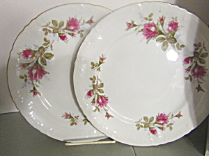 Vintage Fine China Of Japan Royal Rose Dinner Plate Set