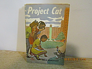 Vintage Young Person's Book Project Cat