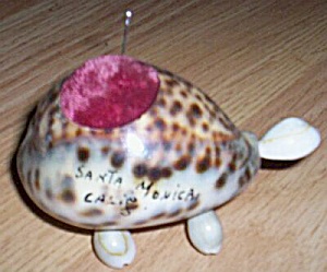 Souvenir Sea Shell Turtle Pin Cushion